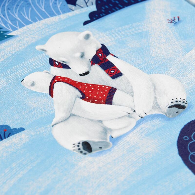 Набор &laquo;Мишкин очаг&raquo; арт.22207.00