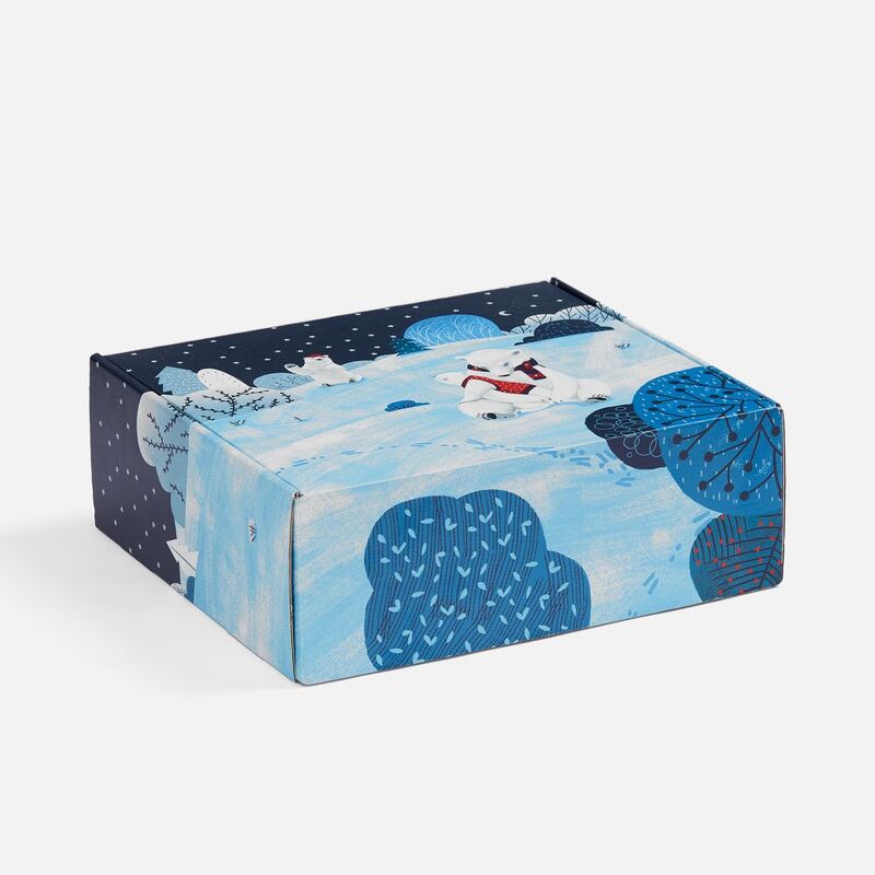 Набор &laquo;Праздничный полюс&raquo; арт.22208.00