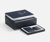 Набор &laquo;Символы власти&raquo; арт.20306.44